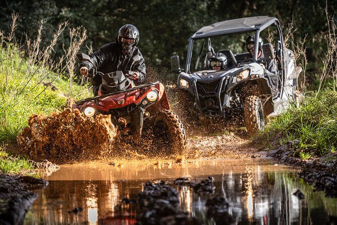 3-hour tour by Buggy or Quad in the Algarve - Buggy vs. Moto4: Picking the Right Vehicle for Your Day