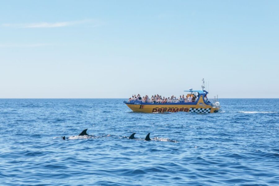 Albufeira: 2.5-Hour Benagil Caves & Dolphin Watching - Simple Packing Checklist Before You Show Up