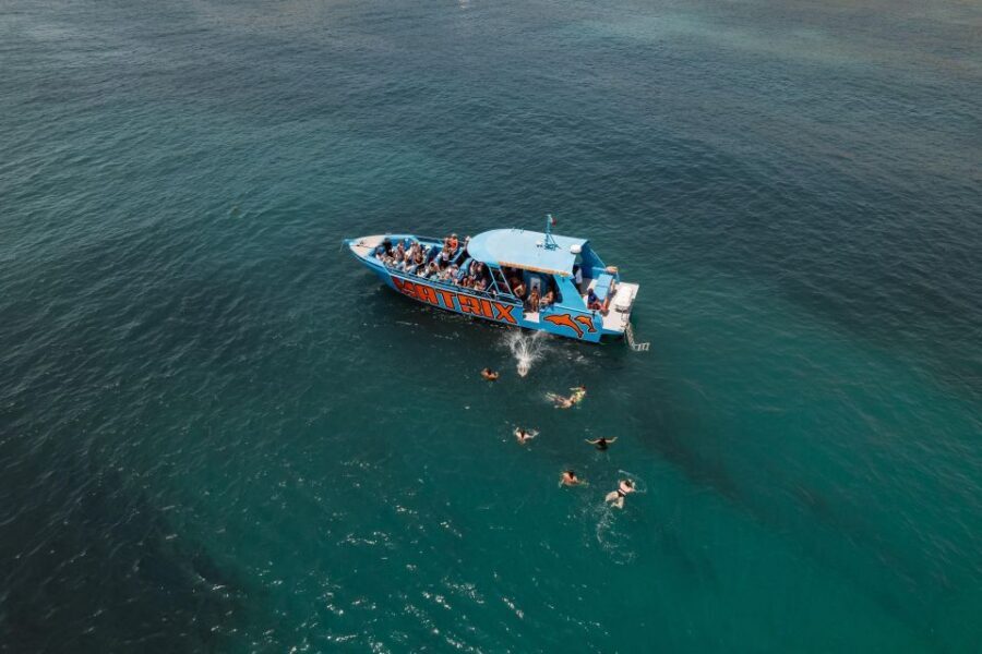 Albufeira: 2.5-Hour Dolphin Watching and Caves Trip - Should You Book This Albufeira Dolphin Watching and Caves Trip?