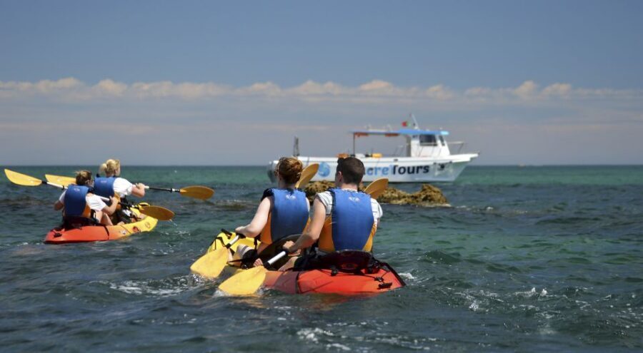 Albufeira: Algarve Kayak and Coastline Tour - Albufeira’s Coastline Tour That Mixes Catamaran Comfort With Real Paddling