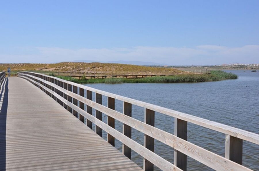 Albufeira: Beaches, Old Town, and Salgados Lagoon Jeep Tour - Praia da Galé: long stretch sand and free time to reset