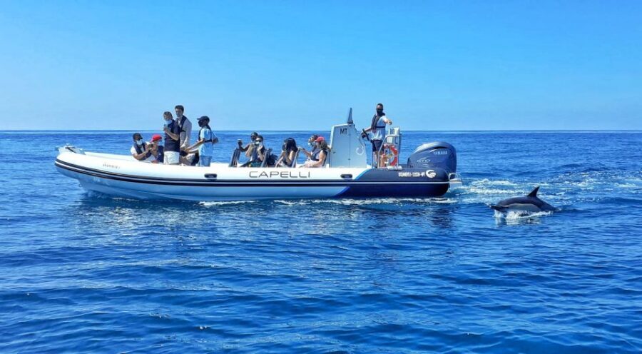 Albufeira: Benagil Cave and Dolphin Sightseeing Boat Cruise - Key moments that make this cruise worth your time