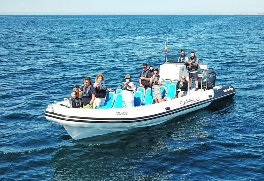 Albufeira: Benagil Cave and Dolphin Sightseeing Boat Cruise - Dolphin spotting: how to enjoy it even if they don’t show