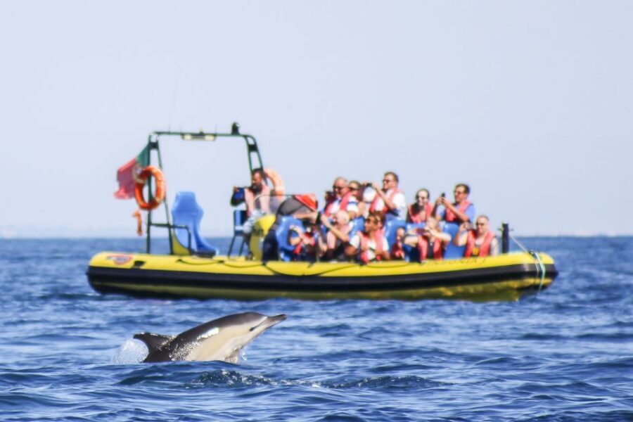 Albufeira: Benagil Caves & Dolphin Watching Speed Boat Tour - Getting to the marina and getting on the boat fast
