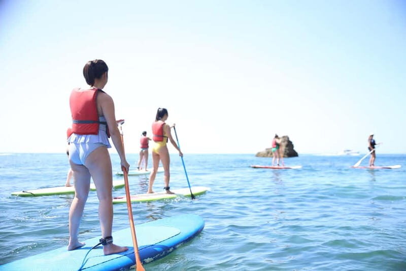 Albufeira: Caves and cliffs Paddleboarding (SUP) Tour - Quick hits before you book