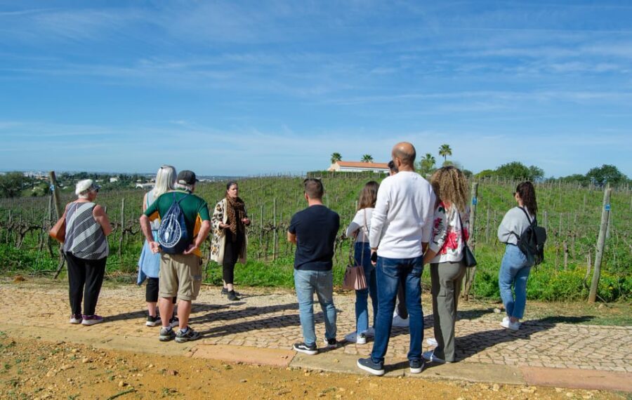 Albufeira: City Highlights & WINE TASTING - Key takeaways before you go