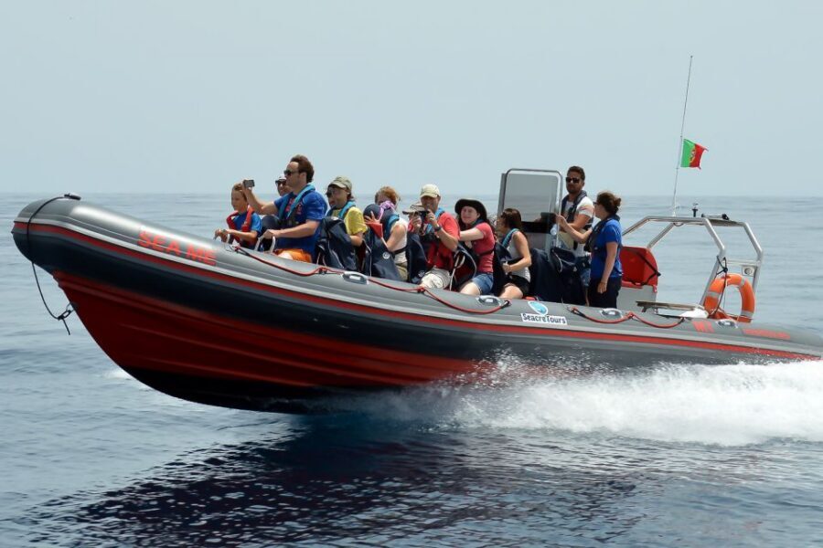 Albufeira: Dolphin Watching and Benagil Cave Boat Cruise - Key highlights at a glance