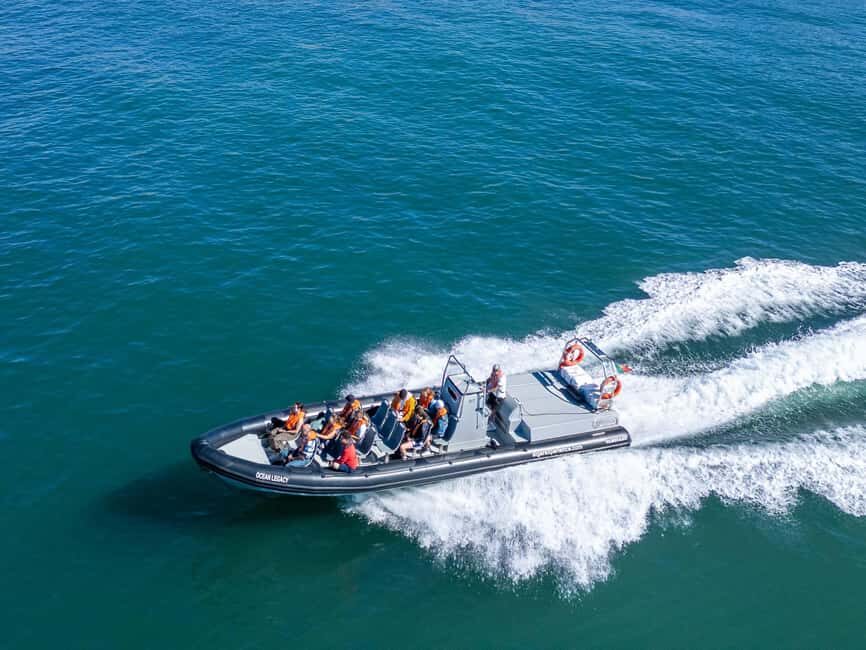 Albufeira: Dolphins, Benagil Caves and Coastline Boat Tour - From Albufeira Marina to Dolphin Territory