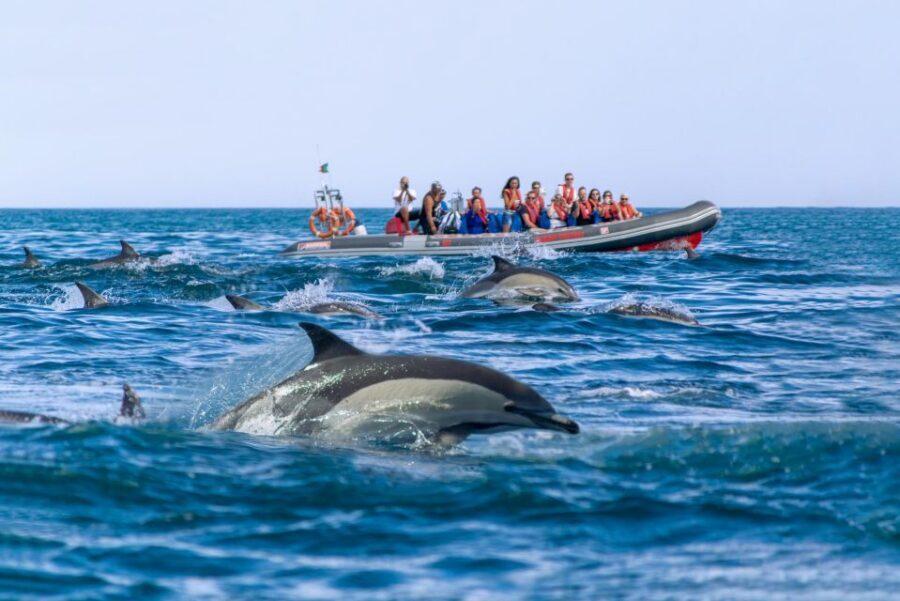 Albufeira: Dolphins, Benagil Caves and Coastline Boat Tour - Booking Smart: How to Get the Day You Want