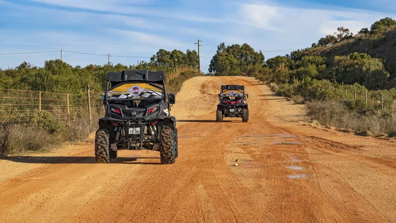 Albufeira: Full Day Off-Road Buggy Tour with Lunch & Guide - Castle Stop: where the views make sense of the drive