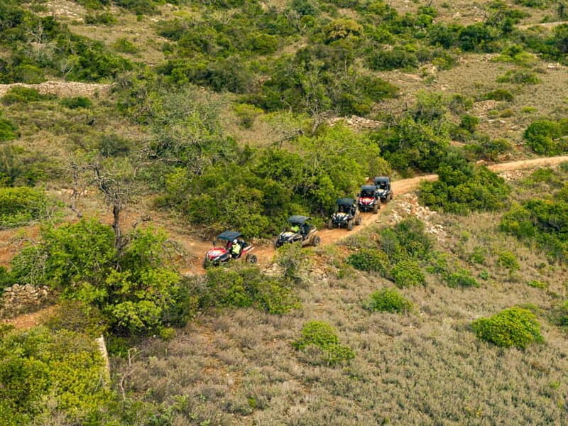 Albufeira: Full Day Off-Road Buggy Tour with Lunch & Guide - Lunch at Quinta do Freixo: what makes the farm stop worth it