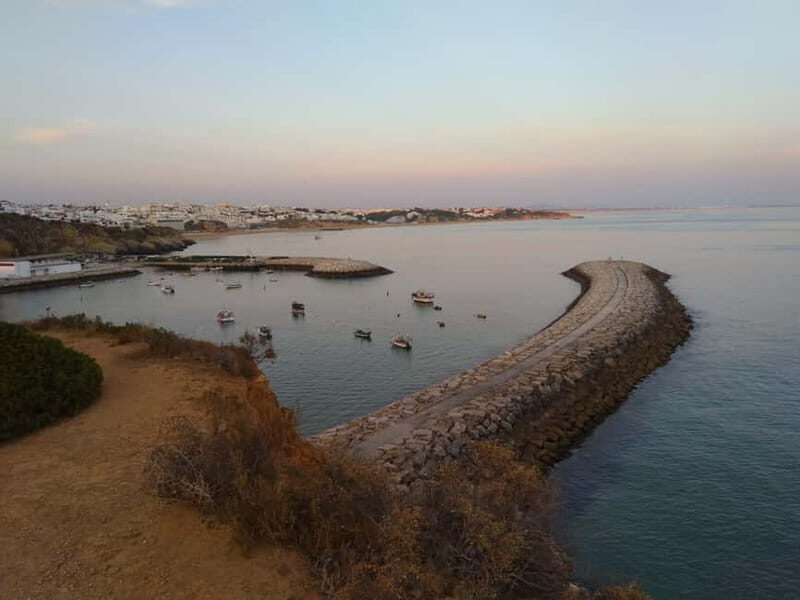 Albufeira: Guided Tour by Tuk-Tuk - The marina and fishing docks: seeing the Algarve’s working coast