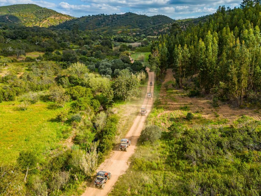 Albufeira: Off-Road Buggy Adventure - Key things to know