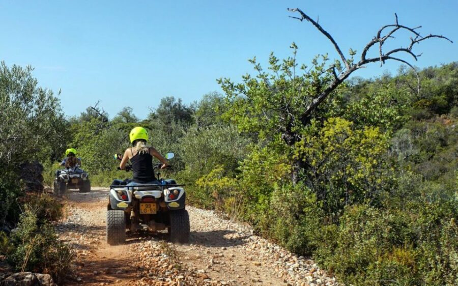 Albufeira: Off-road Quad Bike Adventure - Orchard-farm breaks: the kind of stop that feels personal