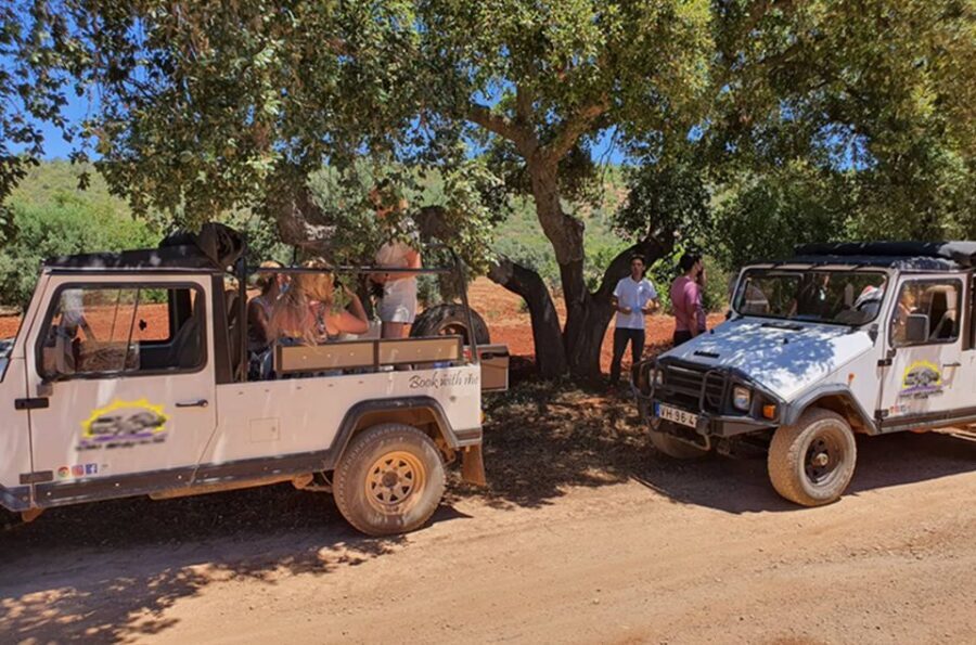 Albufeira: Safari Excursion in the Algarve Mountains - Off-Road Fruit Plantations and Roman-Era Waterworks