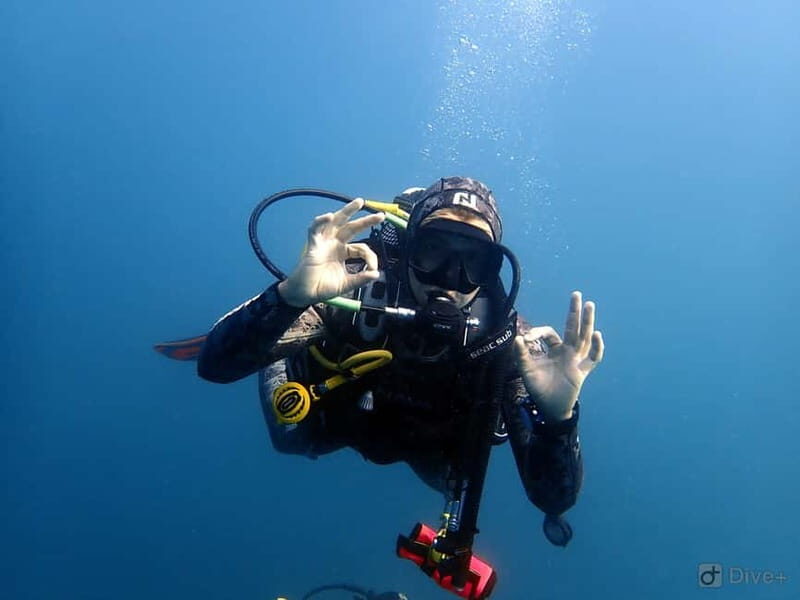 Albufeira: Scuba Diving Experience for Beginners - Boat Trip and the Albufeira Underwater Swim to 12 Meters
