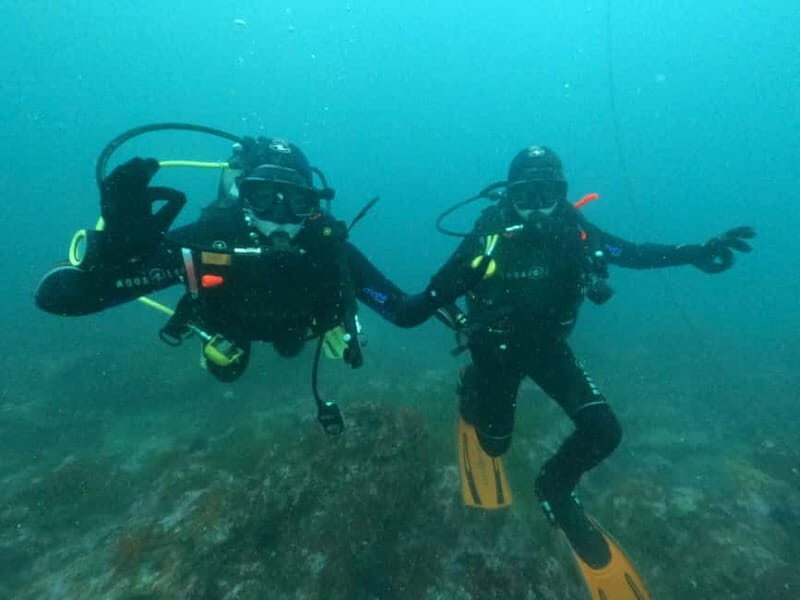 Albufeira: Scuba Diving Experience for Beginners - Who This Suits Best (and Who Should Skip It)