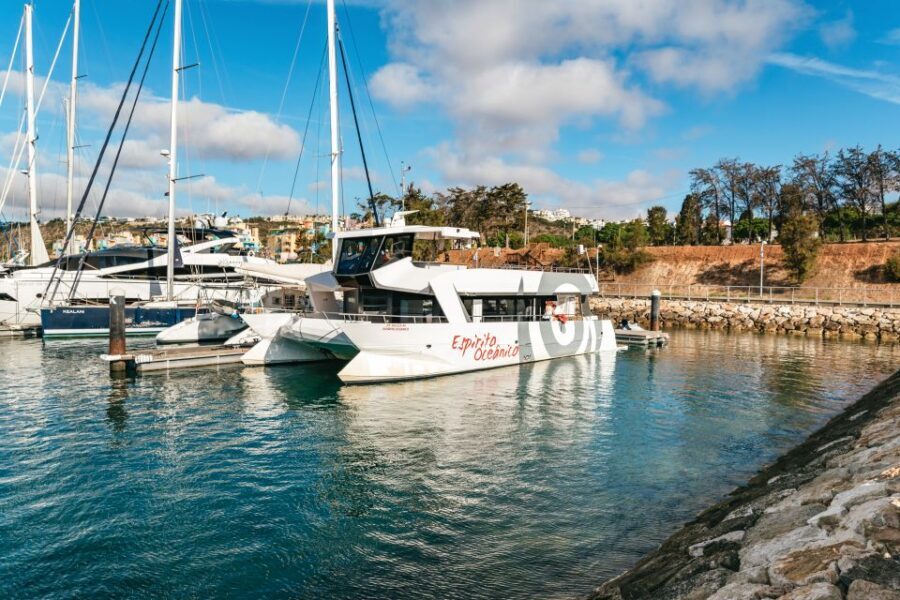 Albufeira: Sightseeing Cruise with Beach BBQ and Open Bar - Who this Albufeira cruise suits best