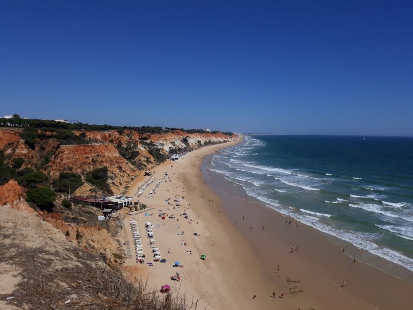 Albufeira: Tuk-tuk Sightseeing Tour - Marina and Fishing Port: Where the Coast Feels Alive