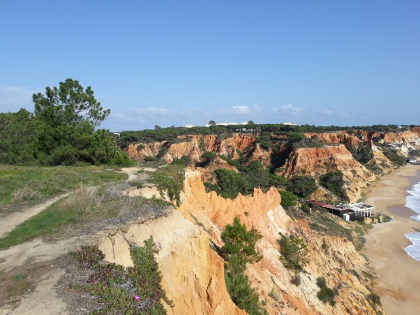 Albufeira: Tuk-tuk Sightseeing Tour - Falesia Beach: The Algarve Headliner Moment
