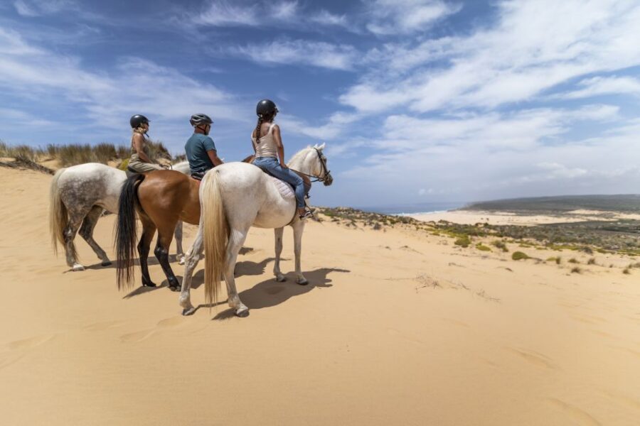 Algarve: 1-Hour Carrapateira Horseback Riding Tour - Key Things I’d Pay Attention To