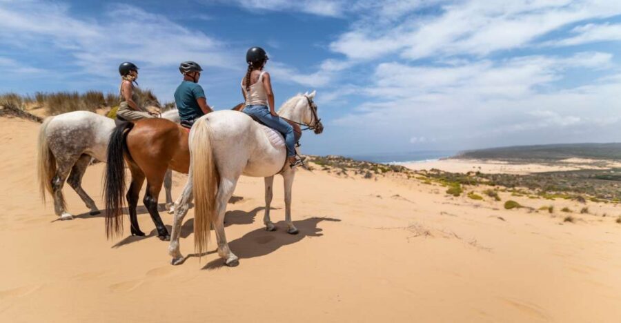 Algarve: 1-Hour Carrapateira Horseback Riding Tour - The First Half Out: Beach Crossing, Dunes, and Coastal Stops