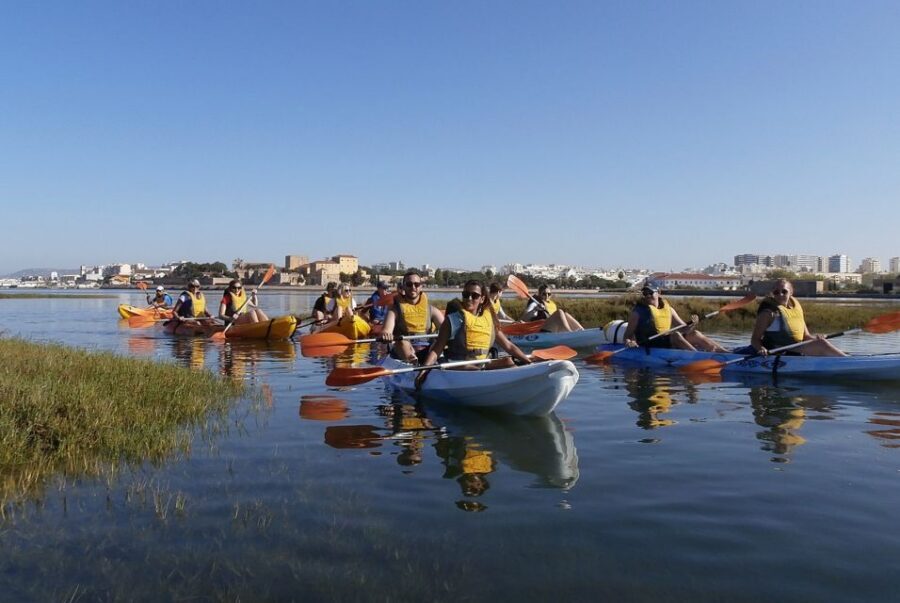 Algarve: 2-Hour Ria Formosa Kayak Tour from Faro - Starting at Faro Marina with Lands – Eco Boat Tours