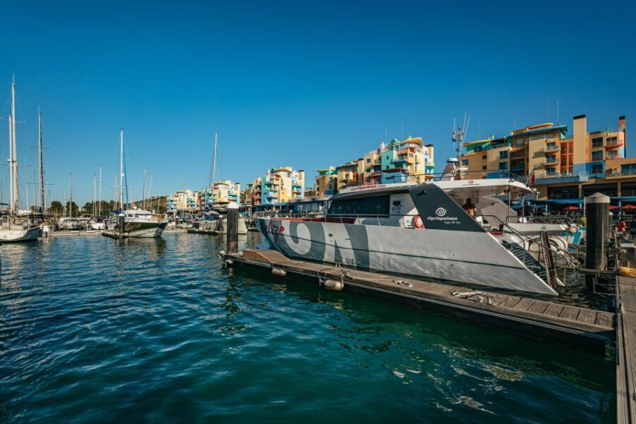 Algarve 3-Hour Caves and Coastline Boat Trip - Who should book this Algarve cave cruise (and who should think twice)