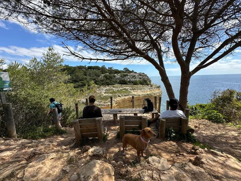 Algarve: 7 Seven Hanging Valley Hike Tour- Photos & Transfer - Meet at Vale Centeanes and start with a transfer safety net