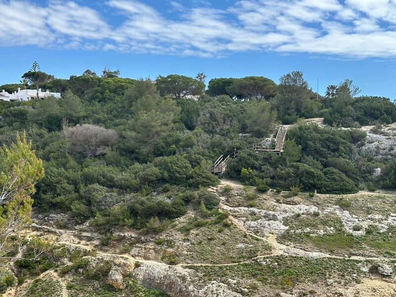 Algarve: 7 Seven Hanging Valley Hike Tour- Photos & Transfer - What the guide adds: biology and geology, not just walking