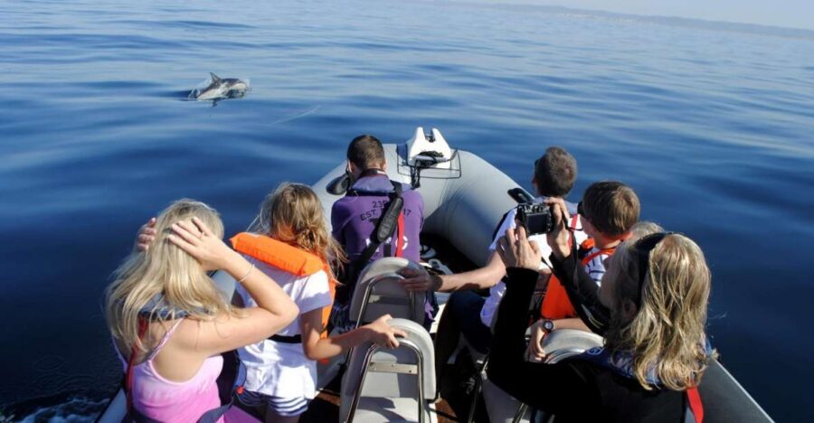 Algarve Dolphin Watching & Marine Life Eco Tour - Boarding at Formosamar: a RIB trip that’s built for wildlife spotting