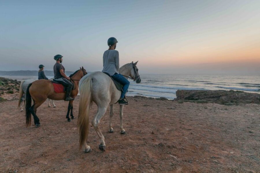 Algarve: Horse Riding Beach Tour at Sunset or Morning - Riding Through Pine Forests and Countryside Paths (Sea Views Included)