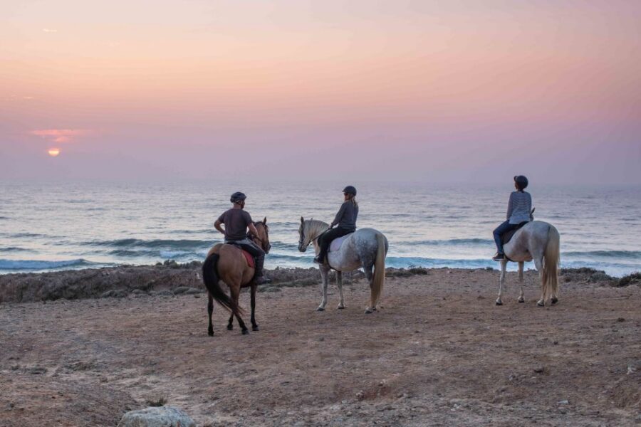 Algarve: Horse Riding Beach Tour at Sunset or Morning - Who This Horse Riding Beach Tour Fits Best