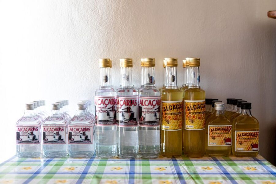 Algarve: Jeep Safari with Distillery Visit & Lunch - Practical tips: shoes, bags, cash, and weather