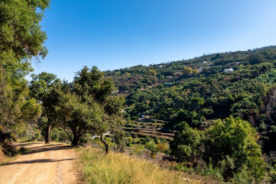 Algarve: Jeep Safari with Distillery Visit & Lunch - Who this jeep safari suits best—and who should skip it