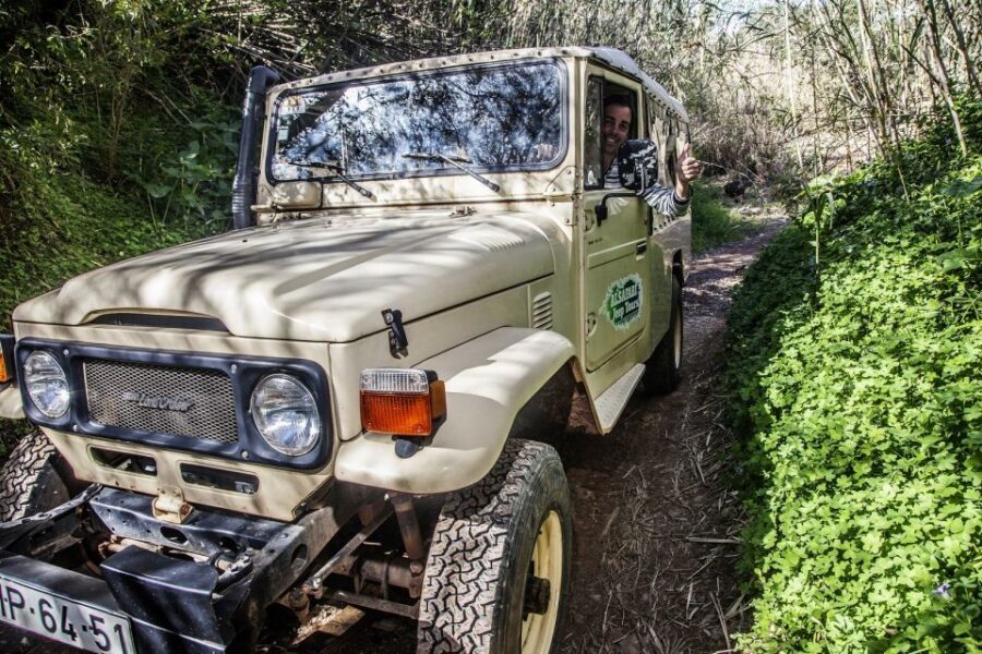 Algarve: Sunset Jeep Safari Tour - Cork Oak Lessons: How Algarve Looks Under the Bark