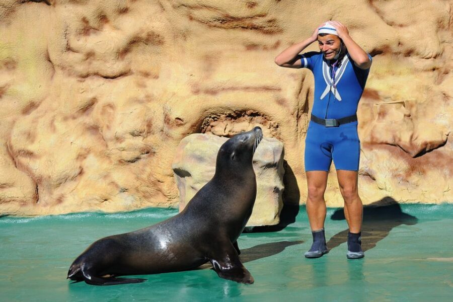Algarve: Zoomarine Amusement Park Entry Ticket - Aquarium and educational zones: walking through 20+ ecosystems