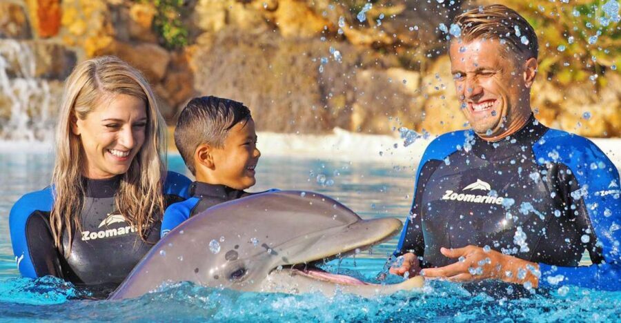 Algarve Zoomarine Ticket and Dolphin Emotions Experience - Key things to know before you go