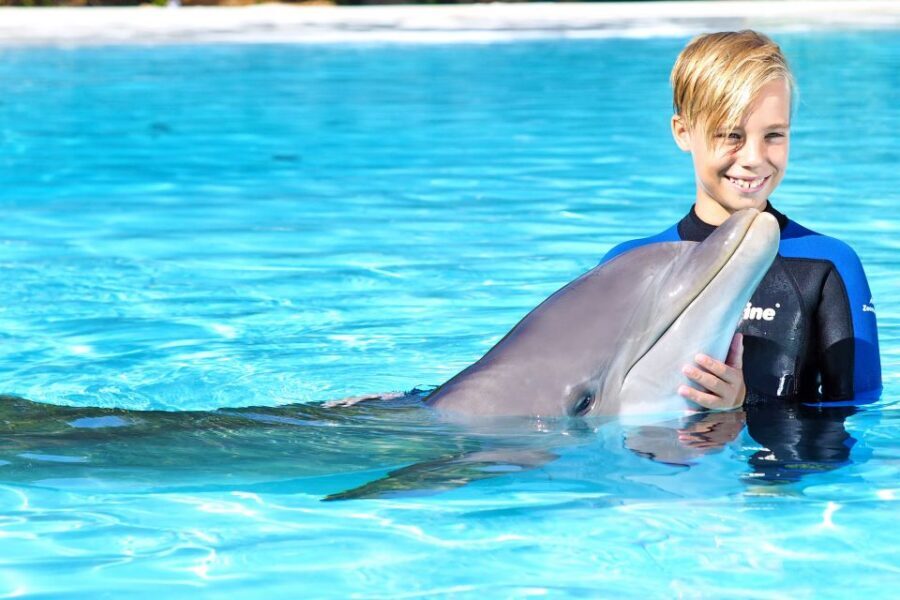 Algarve Zoomarine Ticket and Dolphin Emotions Experience - Who this is best for (and who should skip it)