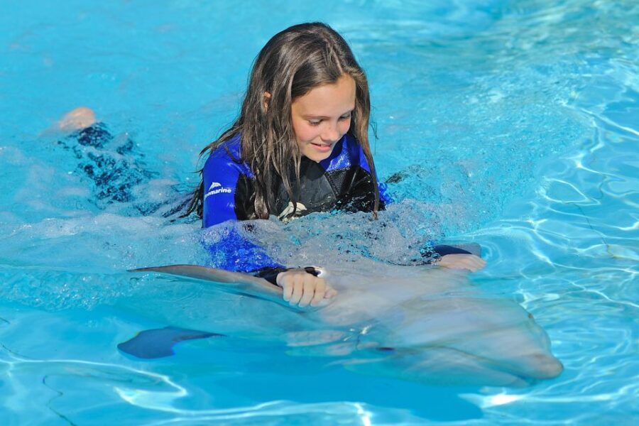 Algarve Zoomarine Ticket and Dolphin Emotions Experience - Why this Dolphin Emotions experience feels different