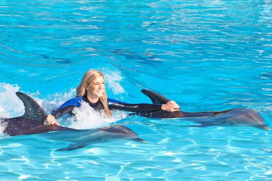 Algarve Zoomarine Ticket and Dolphin Emotions Experience - The pre-water education talk: what it sets up