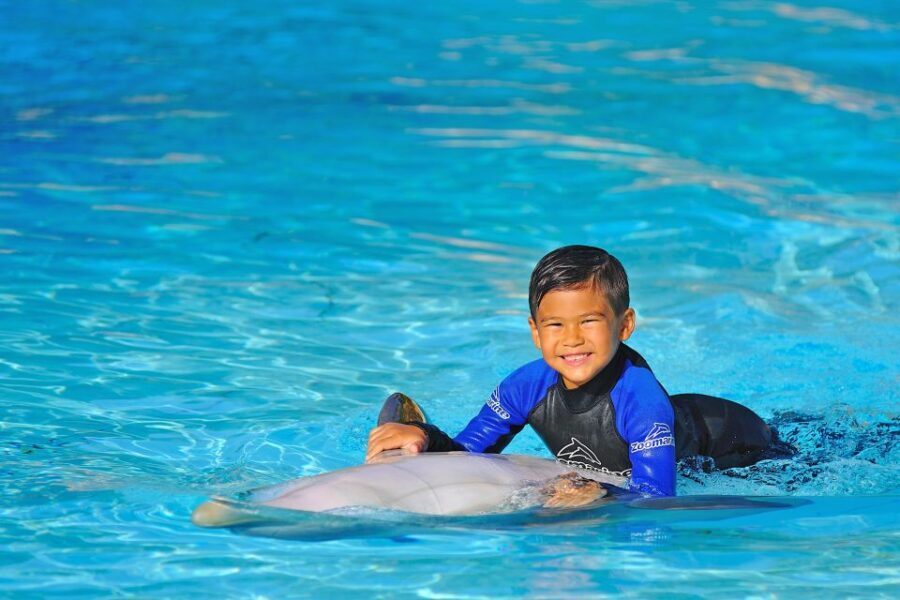 Algarve Zoomarine Ticket and Dolphin Emotions Experience - Dolphin Emotions Encounter: 15 minutes of structured magic