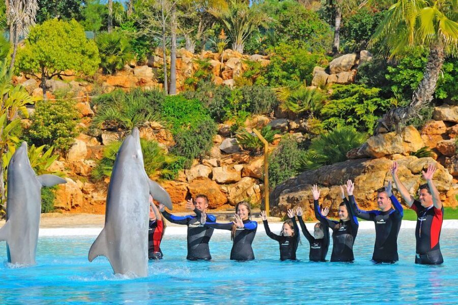 Algarve Zoomarine Ticket and Dolphin Emotions Experience - Dolphin Emotions Exclusive: private time, plus recorded memories