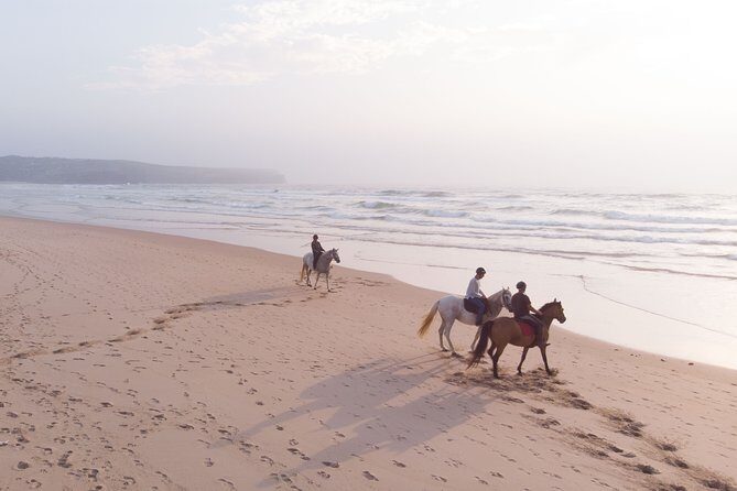 Bordeira Beach - Horse Riding Tour at Sunset - Pine forest, dunes, and that first real horse power