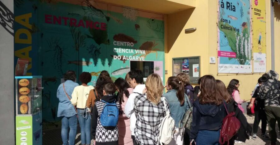 CCVAlgarve Individual Ticket - Touch Pool Fun: Intertidal Animals and Life Cycle Learning