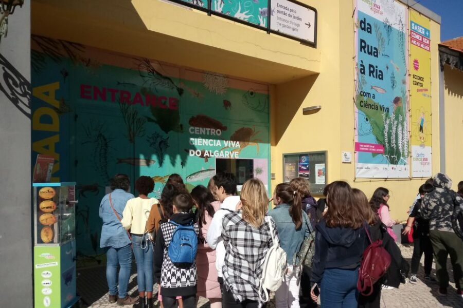 CCVAlgarve Individual Ticket - Rules You Should Know Before You Go