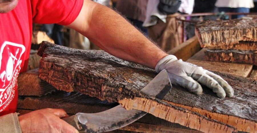 Cork Factory Tour - Getting There: Eco-Cork Factory and the Algarve “How Do I Find This” Test