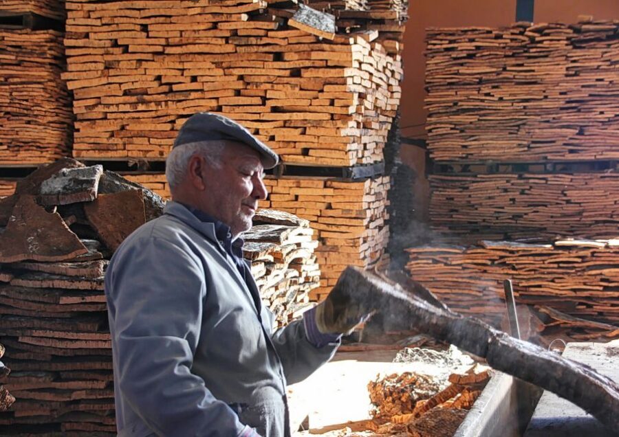 Cork Factory Tour - Inside the Factory for 50 Minutes: What You’ll Actually See