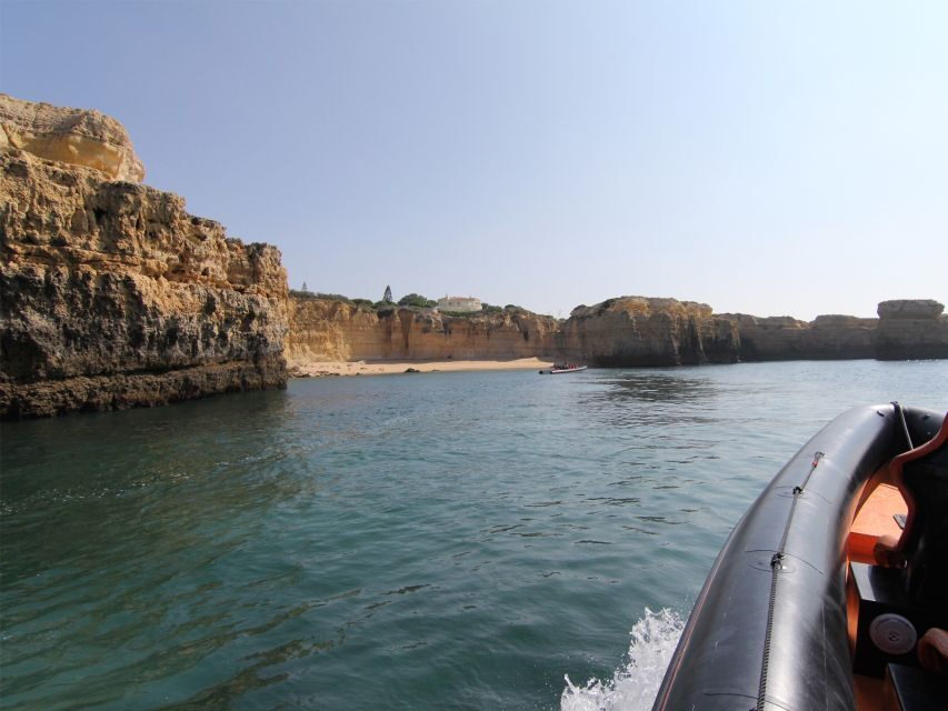 Dolphin Safari and Cave Tour in Vilamoura - Wild animals, real expectations, and why cave plans can shift