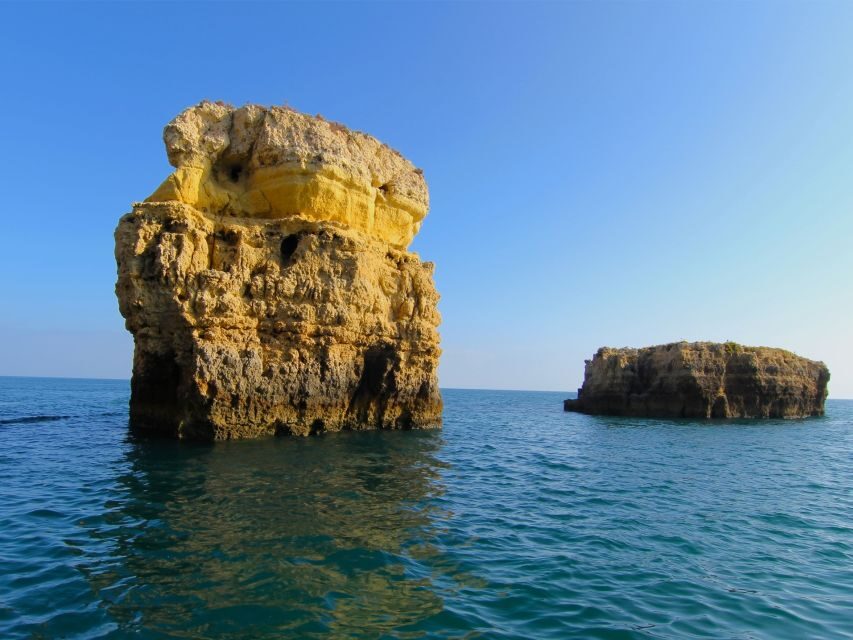 Dolphin Safari and Cave Tour in Vilamoura - Boat style, speed, and sea conditions you should plan for